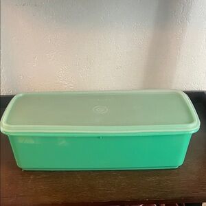 Tupperware veggie Mint Green Storage Container